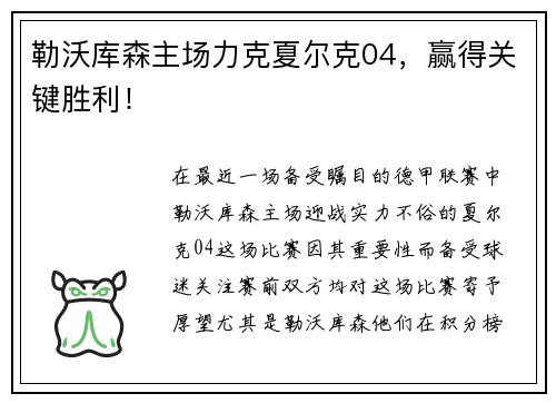 勒沃库森主场力克夏尔克04，赢得关键胜利！